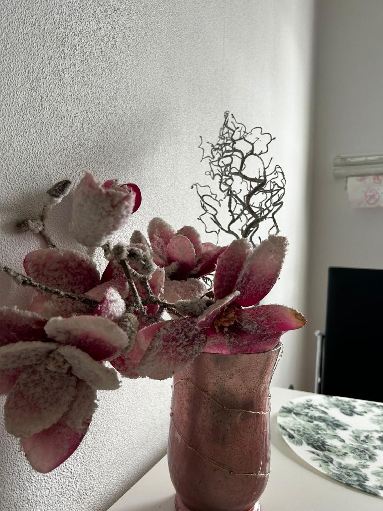 Gemuetliche Ferienwohnung-Appartement Bad Oeynhausen Dış mekan fotoğraf